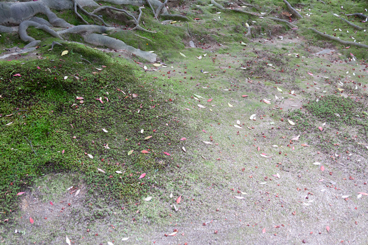 01AD Imperial Villa Katsura in Kyoto