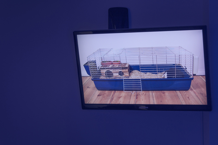 art by Michal Martychowiec