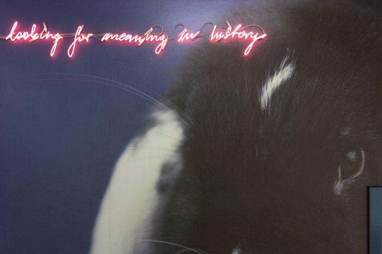 art by Michal Martychowiec