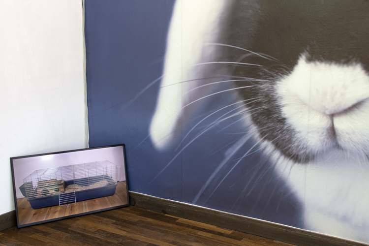 art by Michal Martychowiec