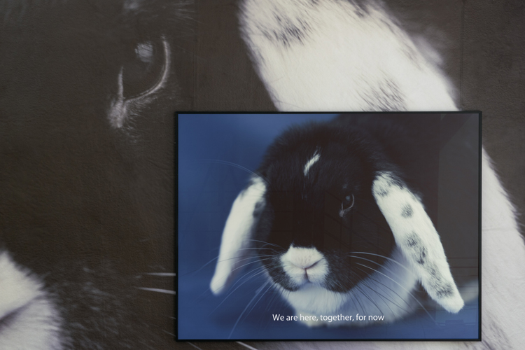 art by Michal Martychowiec