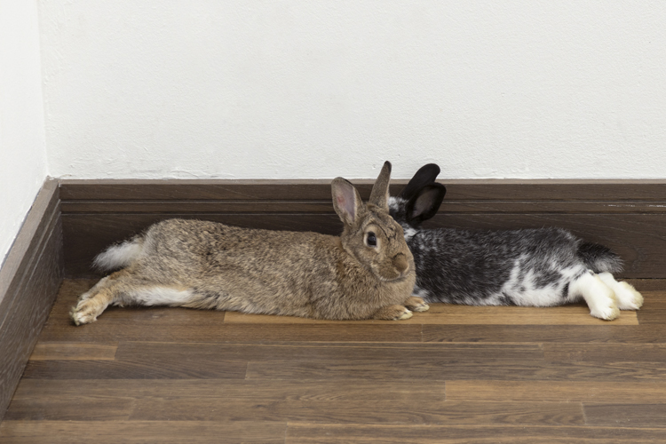 art by Michal Martychowiec