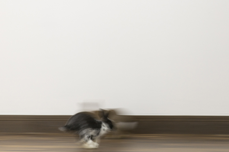 art by Michal Martychowiec