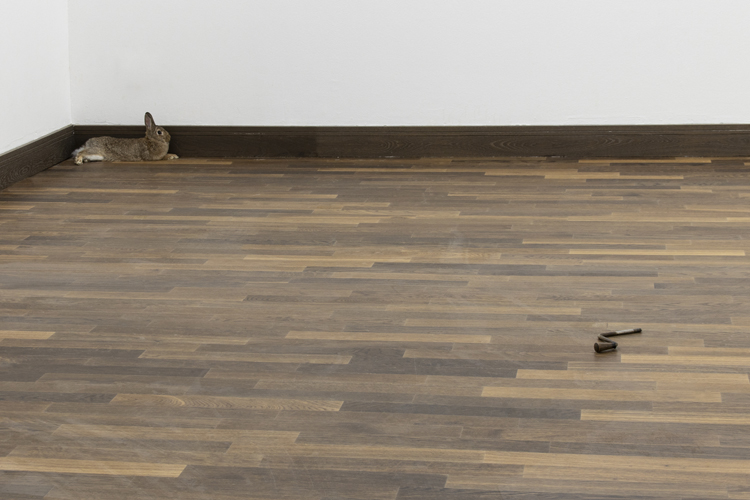 art by Michal Martychowiec