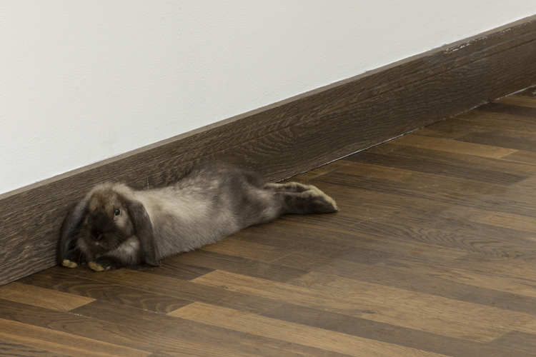 art by Michal Martychowiec