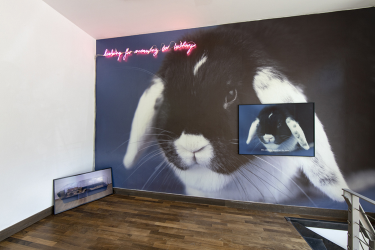 art by Michal Martychowiec