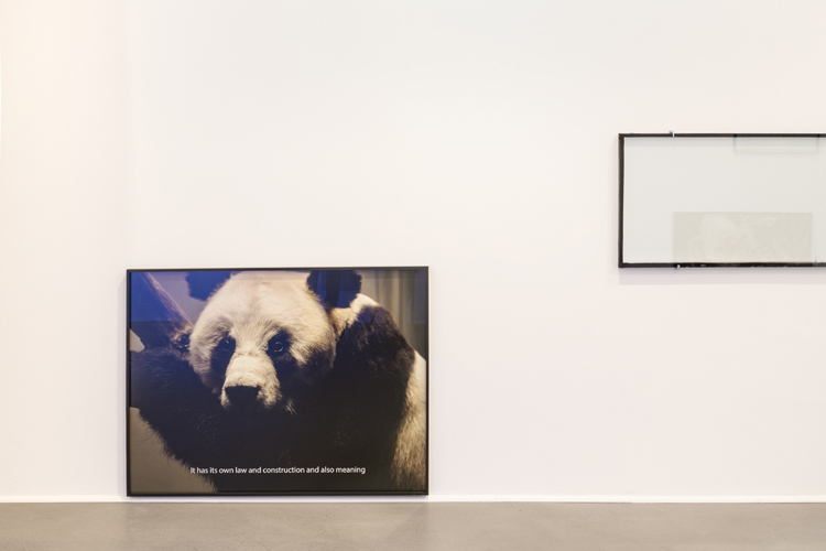 art by Michal Martychowiec